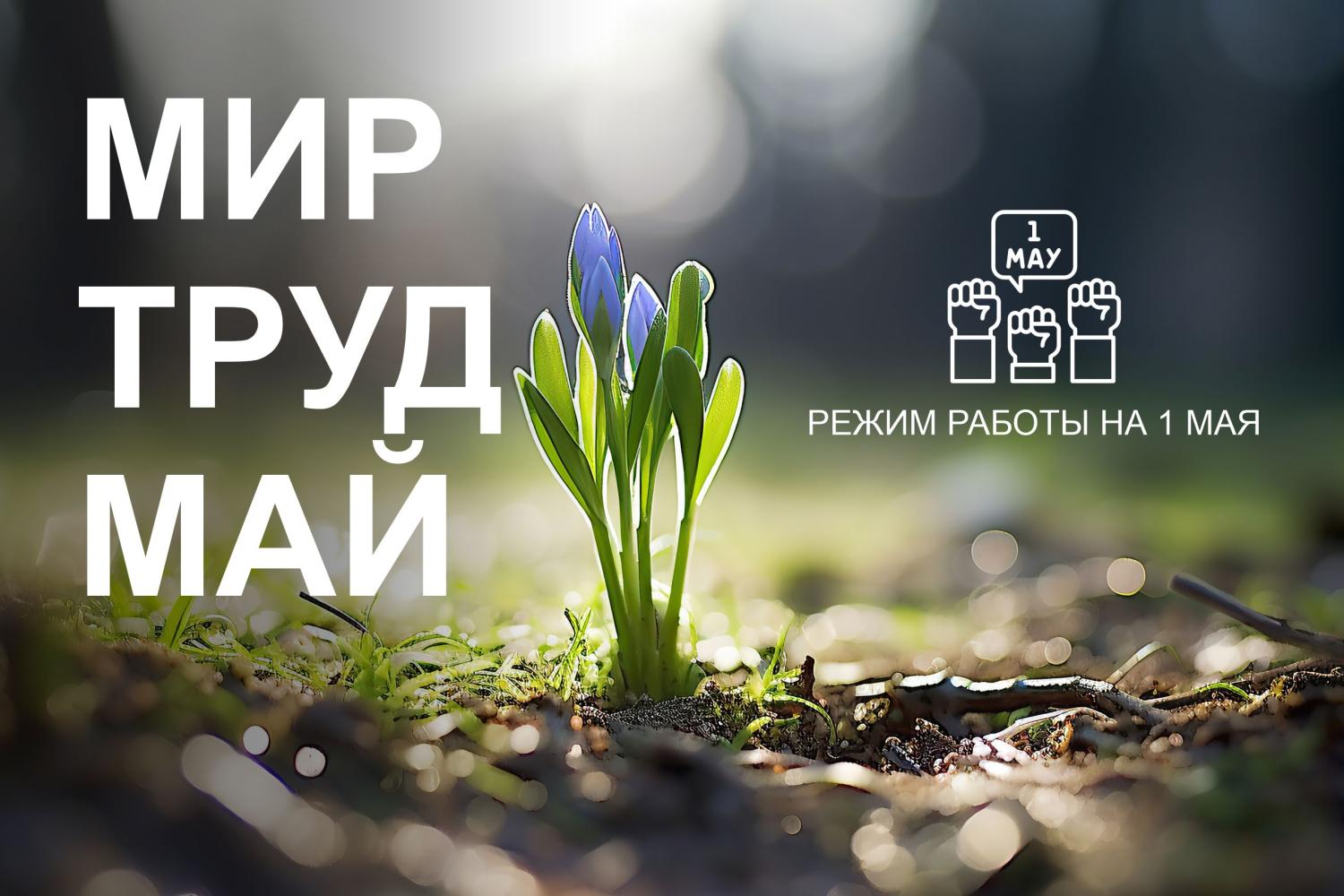 С праздником Весны и Труда! Режим работы на 1 мая С праздником Весны и Труда! Режим работы на 1 мая