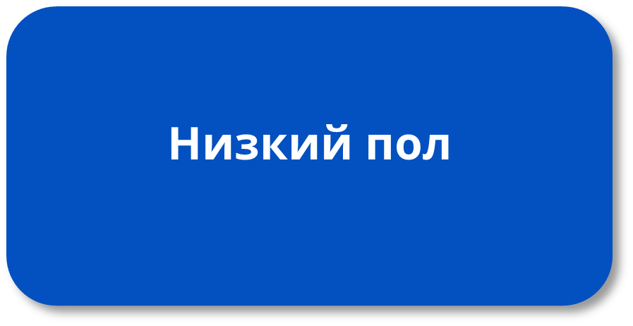 Yutong ZK 6126HG низкий пол.png